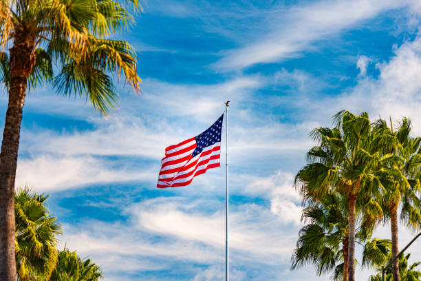 Palms and american flag, Los Angeles, California USA. Summertime aesthetic of Santa Monica Venice Beach. Star-Spangled Banner, Stars and Stripes. Atmosphere of patriotism in Hollywood. LA vibes.