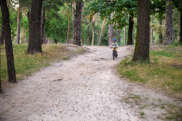 istock Cyclist Riding down the sandy Hill on the Offroad Trail 1368456965