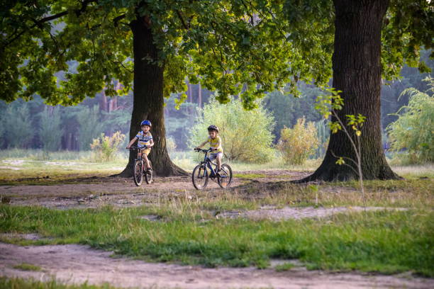 two little kid boys in colorful casual clothes in summer forest park driving bicycle. active children cycling on sunny fall day in nature. safety, sports, leisure with kids concept - twin falls imagens e fotografias de stock