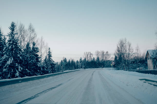 istock winter landscape snowy trees blue sky 1368457158