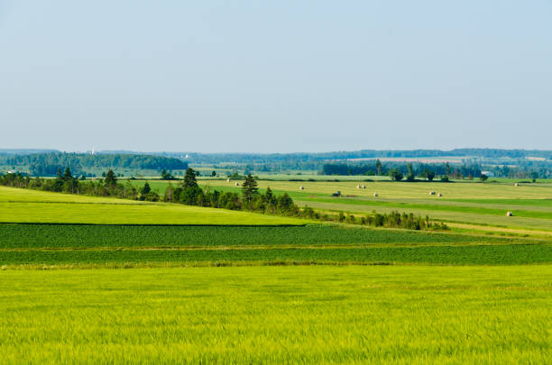 View of fields and forests of Prince Edward Island