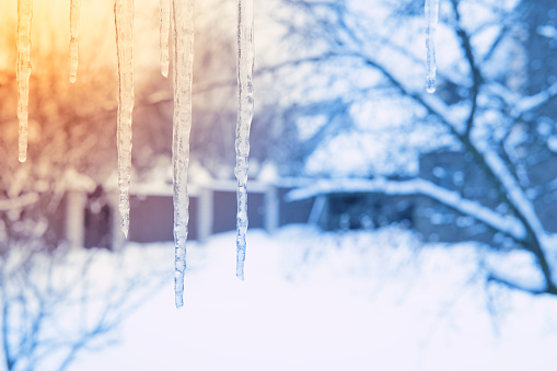 Icicles are melting on the bright sunlight in winter season. Spring coming concept. Nature background.