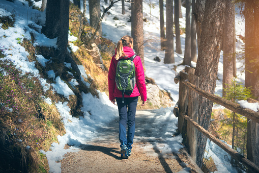 Young woman with backpack is walking in spring forest at sunny day. Travel and hiking in woods in Italy. Landscape with girl, wooden fence, snowy hills, green trees in winter. Sporty lifestyle. Nature