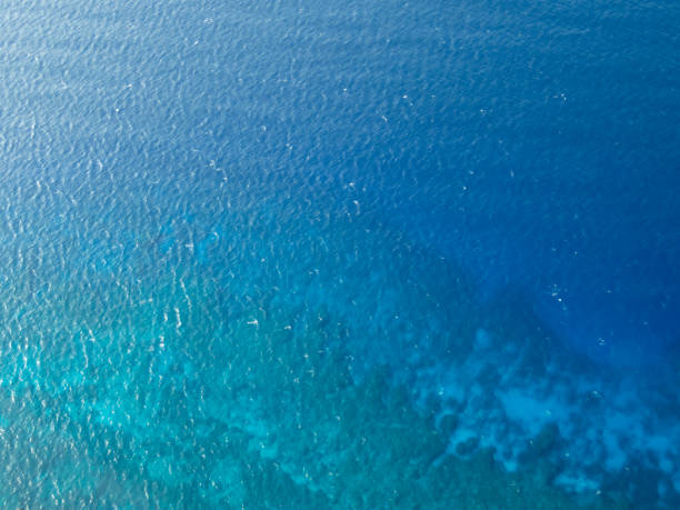 istock aerial view of the ocean 1368465861
