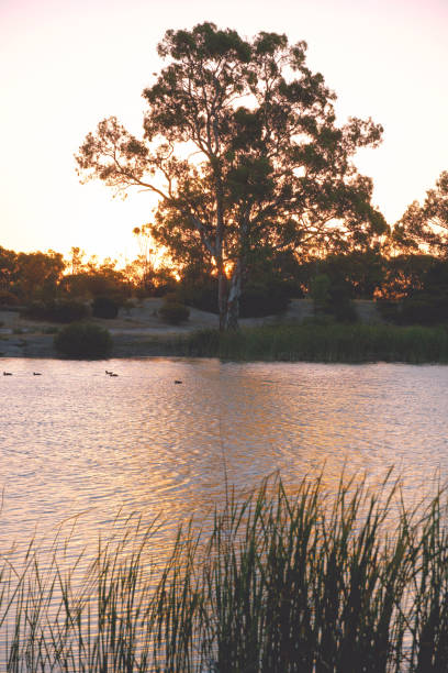 istock Horsham,  Victoria, Australia 1368468616