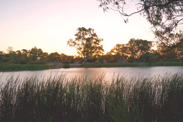 Horsham,  Victoria, Australia