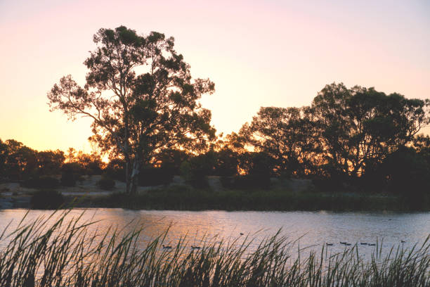 istock Horsham,  Victoria, Australia 1368468703