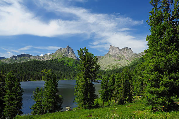 mountain lake in national park ergaki, russland - schreckhorn uncultivated tree summer stock-fotos und bilder