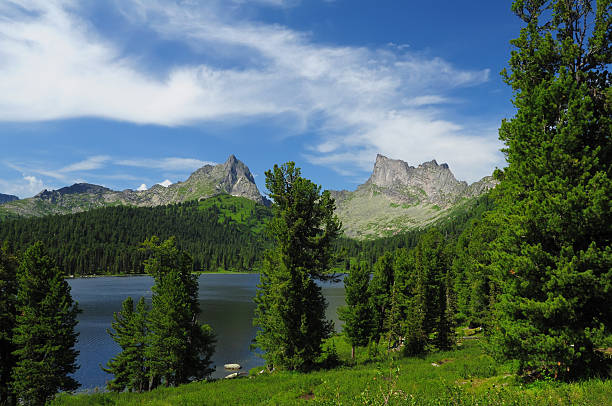 parque nacional do lago de montanha ergaki, rússia - schreckhorn uncultivated tree summer imagens e fotografias de stock