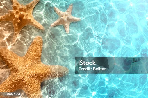 istock Starfish on the summer beach in sea water. Summer background. 1368469684