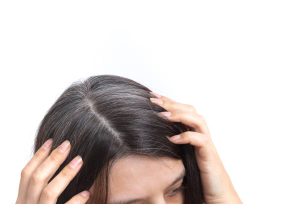 Head of a woman with graying hair on a white background. The concept of early gray hair Head of a woman with graying hair on a white background. The concept of early gray hair. gray hair young woman stock pictures, royalty-free photos & images