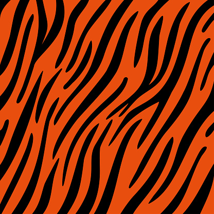 stripe animals jungle tiger pattern. white and black animal print. Vector illustration.