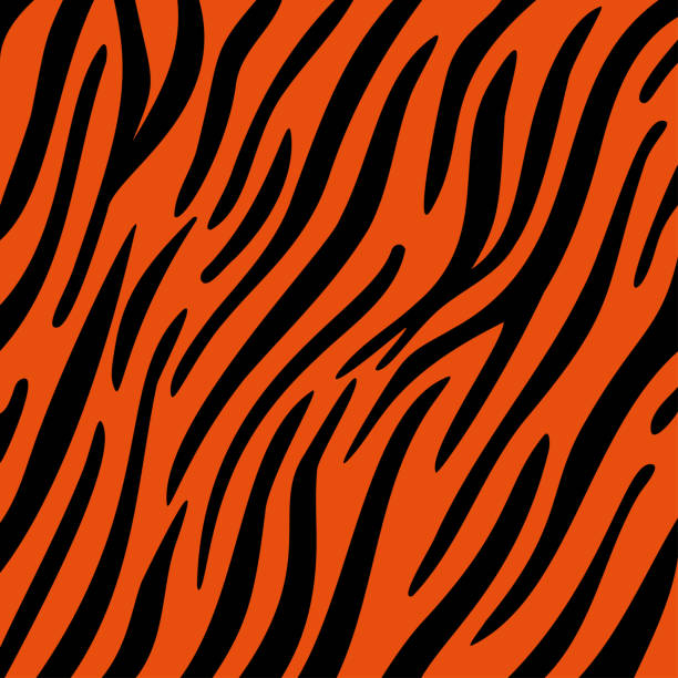 stripe animals jungle tiger pattern. white and black animal print. Vector illustration stripe animals jungle tiger pattern. white and black animal print. Vector illustration. bengal tiger pattern stock illustrations