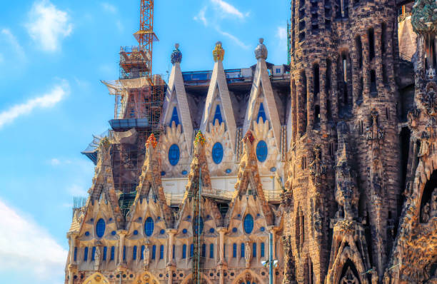 Sagrada Familia Cathedral behind Jacaranda tree, Barcelona, Spain