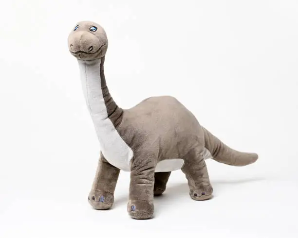 Brontosaurus dinosaur plush toy isolated on white background