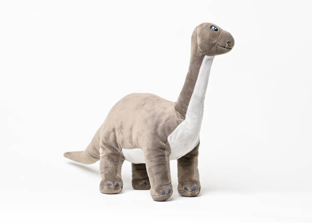 istock Brontosaurus dinosaur plush toy on white background 1368478608