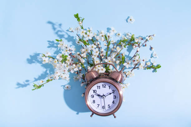 istock Alarm clock and blossom branches on a blue background. Flat lay, top view composition 1368479804