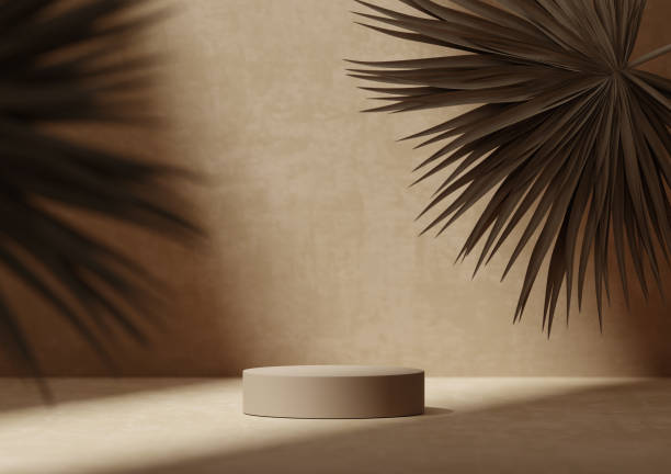 istock 3D background, beige pedestal podium on natural dry, palm leaf shadow brown backdrop. Summer product promotion Beauty cosmetics step display. Nude Studio Minimal showcase 3D render advertisement. 1368481801