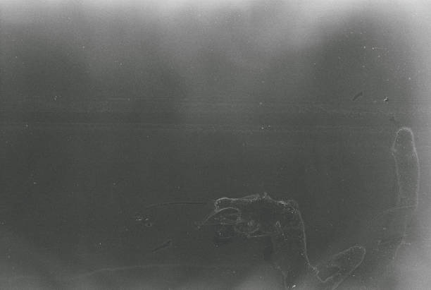istock 50 Iso Black and white film grain textured background 1368482739
