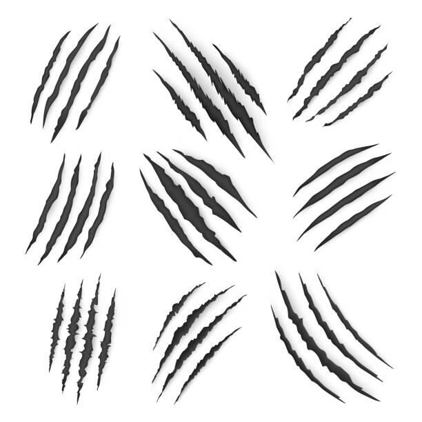 Claw scratches marks of dragon, bear, tiger beast Dragon, bear or tiger claw marks and torn scratches, vector. Cracks form animal claw scratches, wild beast paw marks with sharp fissures texture, damaged breaks and hollow scraps, black on white panthers stock illustrations