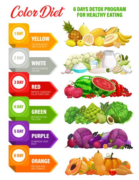 illustrazioni stock, clip art, cartoni animati e icone di tendenza di dieta arcobaleno colorato, infografica sulla nutrizione disintossicante - weight scale dieting weight loss