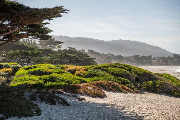 Carmel by the Sea California Beach Carmel-by-the-Sea Small Beach City on California's Monterey Peninsula, United States of America. city of monterey california stock pictures, royalty-free photos & images