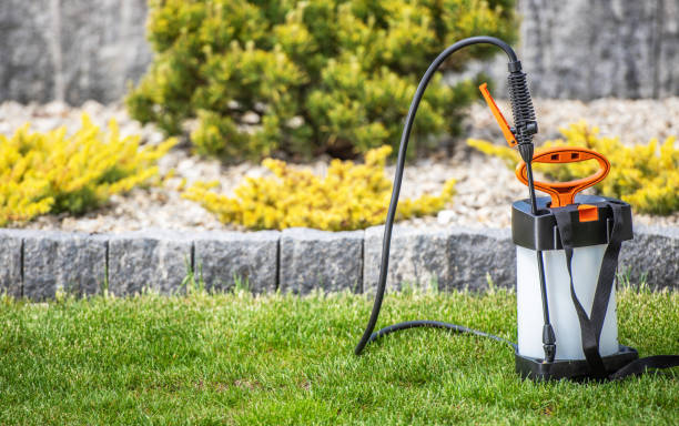 Garden Use Atomizing Backpack Sprayer on a Lawn Garden Use Atomizing Backpack Sprayer For Fertilizing Garden Plants. Gardening and Landscaping Equipment Theme. lawn seeder stock pictures, royalty-free photos & images