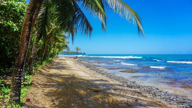 istock Tropical sand road in the beautiful natural environment. 1368501704