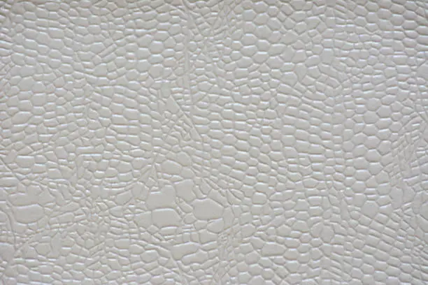 Fragment of genuine reptile skin artificially dyed light gray. Background, pattern, texture.