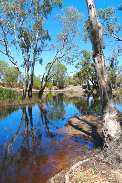 istock Horsham,  Victoria, Australia 1368505182