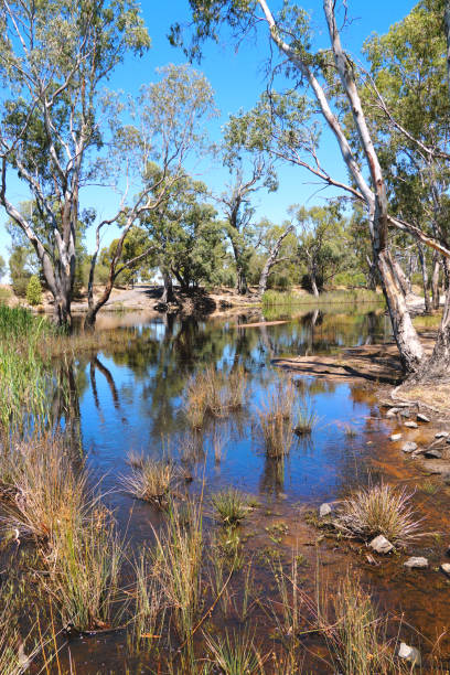 istock Horsham,  Victoria, Australia 1368505183