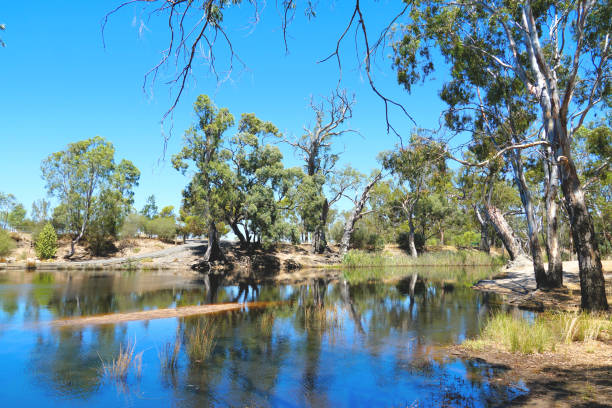 istock Horsham,  Victoria, Australia 1368505723
