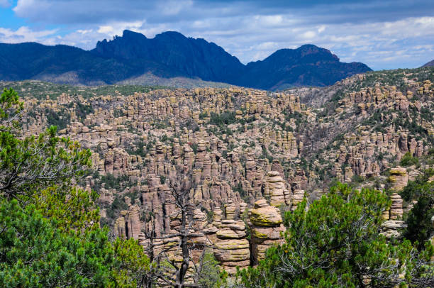 pomnik narodowy chiricahua - setki hoodoos - chiricahua national monument zdjęcia i obrazy z banku zdjęć