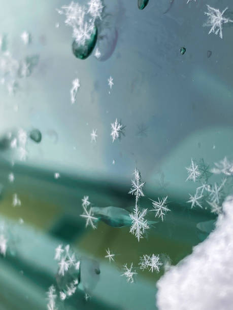 istock Snowflakes of Alaska 1368518687