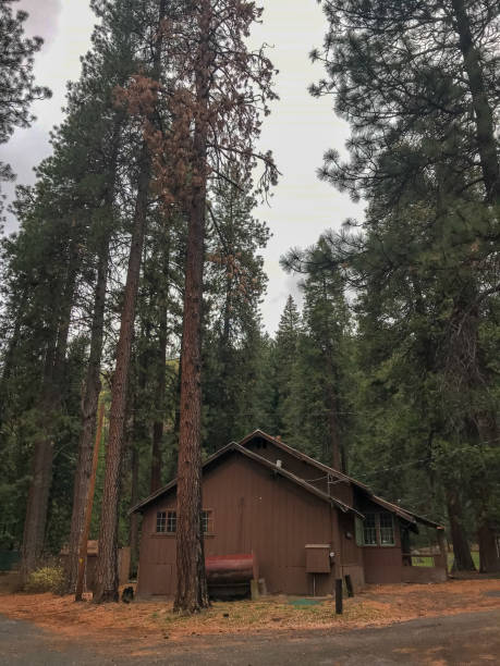 istock Exploring Mt Shasta City Park in California 1368522410