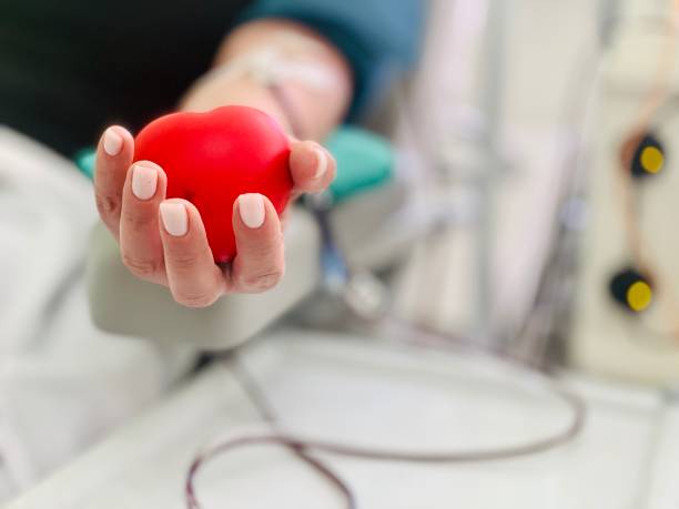 Close-up of a blood donor squeezes a red heart in his hand. World Blood Donor Day. Life saving. Blood donor squeezes the rubber bulb in the form of heart in his hand. Donating Blood. blood donation stock pictures, royalty-free photos & images