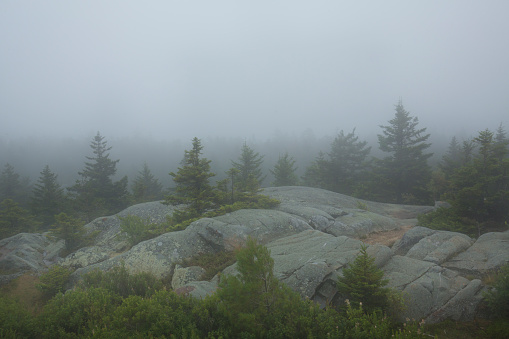 Low clouds enshroud the summit of Mt. Kearsarge in fog at WInslow State Park in Wilmot, New Hampshire.