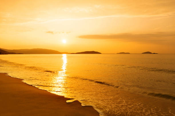 istock Landscape of beautiful beach at sunset 1368525660