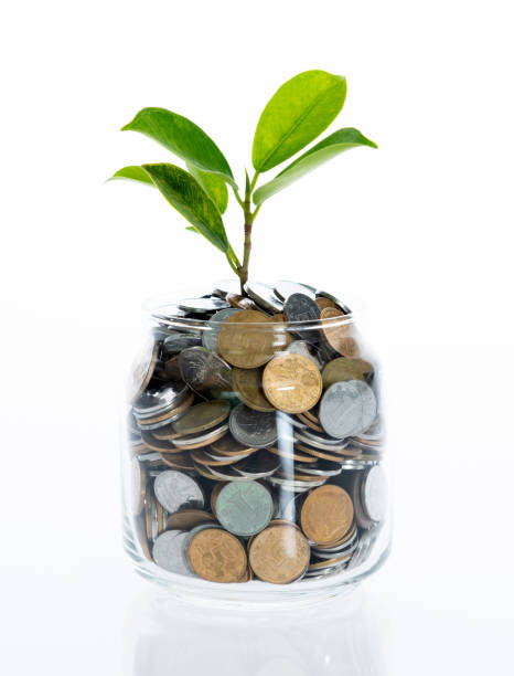 istock Green plant growing from coin jar on white background 1368525681
