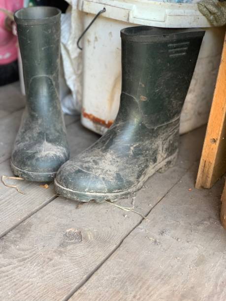 istock dirty rubber boots on a wooden floor 1368527124