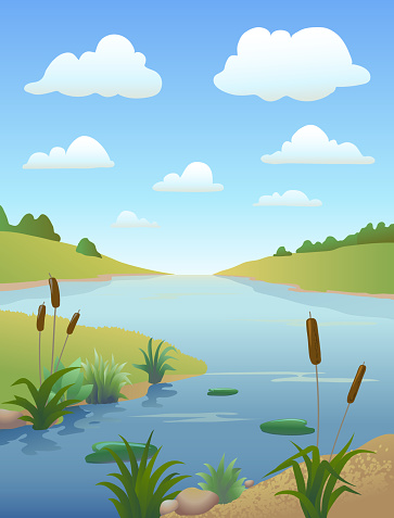 Cartoon river or lake and reeds, other freshwater plants with clouds  blue sky. Vertical natural landscape waterside background