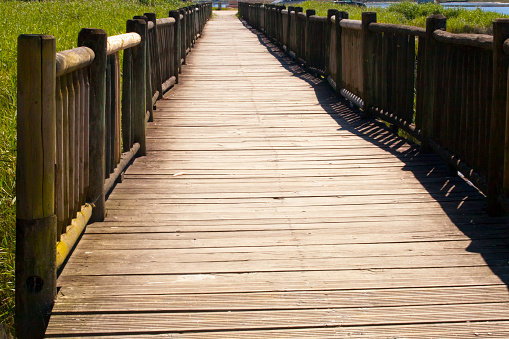 Boardwalk wooden promenade on marshland . Copy space available on the lower side of the image. Catoira, Pontevedra province, Galicia, Spain.