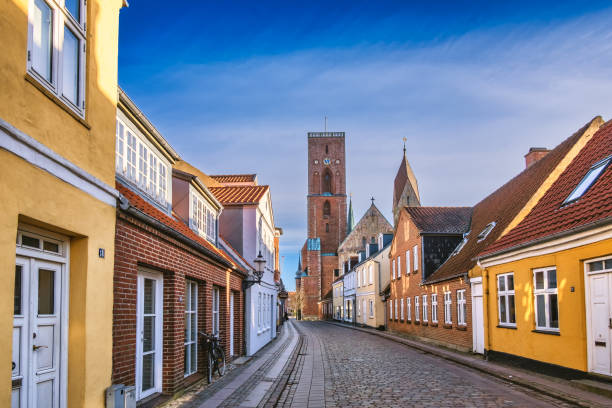 istock Cathedral in old medieval city Ribe, Denmark 1368536516
