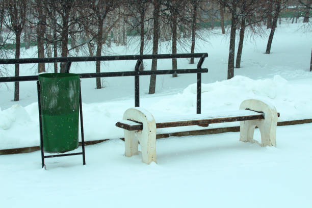 Niagara Falls - Close up of Ice-covered Metal fence designs
