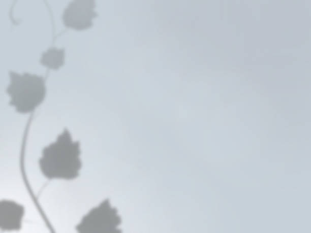 istock Blue background illustration with shadows of plant ivy 1368544368