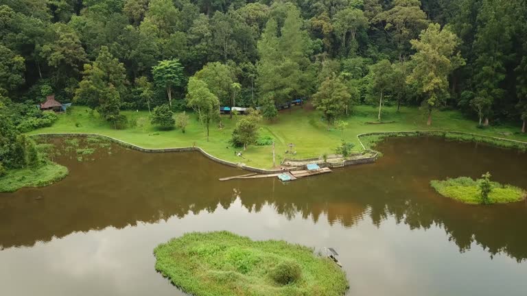 Aerial view of family sitting on lakeside