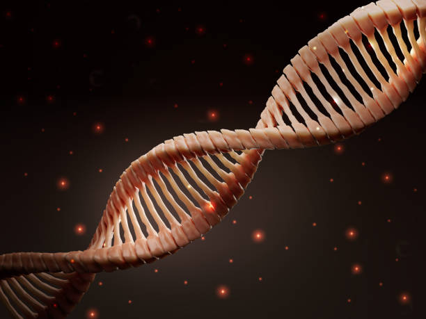 istock Realistic abstract DNA structure concept,molecule helix spiral,science,medical,genetic biology,analysis chromosome,DNA chromosome genetic human,gene cell dark background,3d render,illustration 1368548562