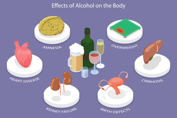 3D Isometric Flat Vector Conceptual Illustration of Effects Of Alcohol On The Body 3D Isometric Flat Vector Conceptual Illustration of Effects Of Alcohol On The Body, Infographic set of Elements brain eater stock illustrations