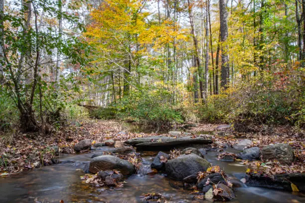 Photo of Long exposure mountain stream