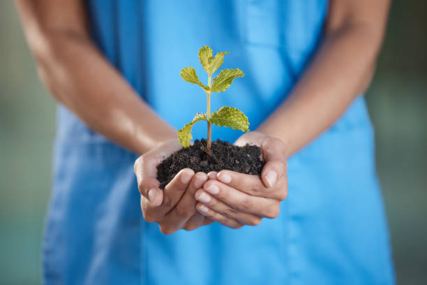 istock Shot of a nurse holding a budding plant 1368551206